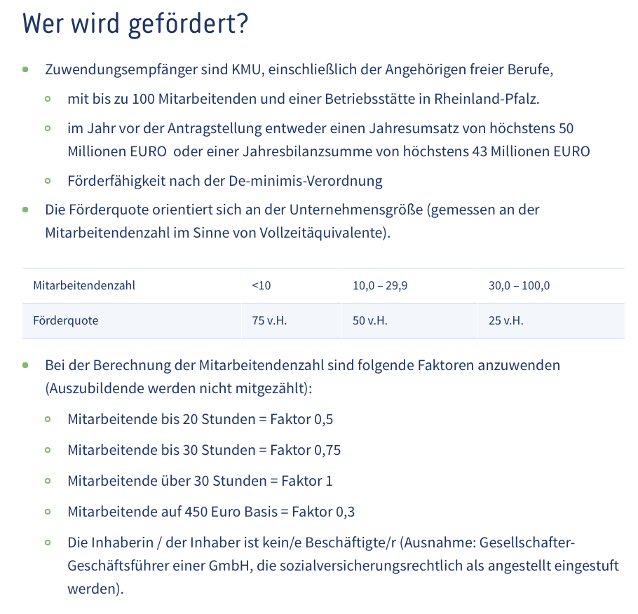 wer-wird-mit-DigiBoost-gefördert